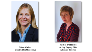 CEO transition