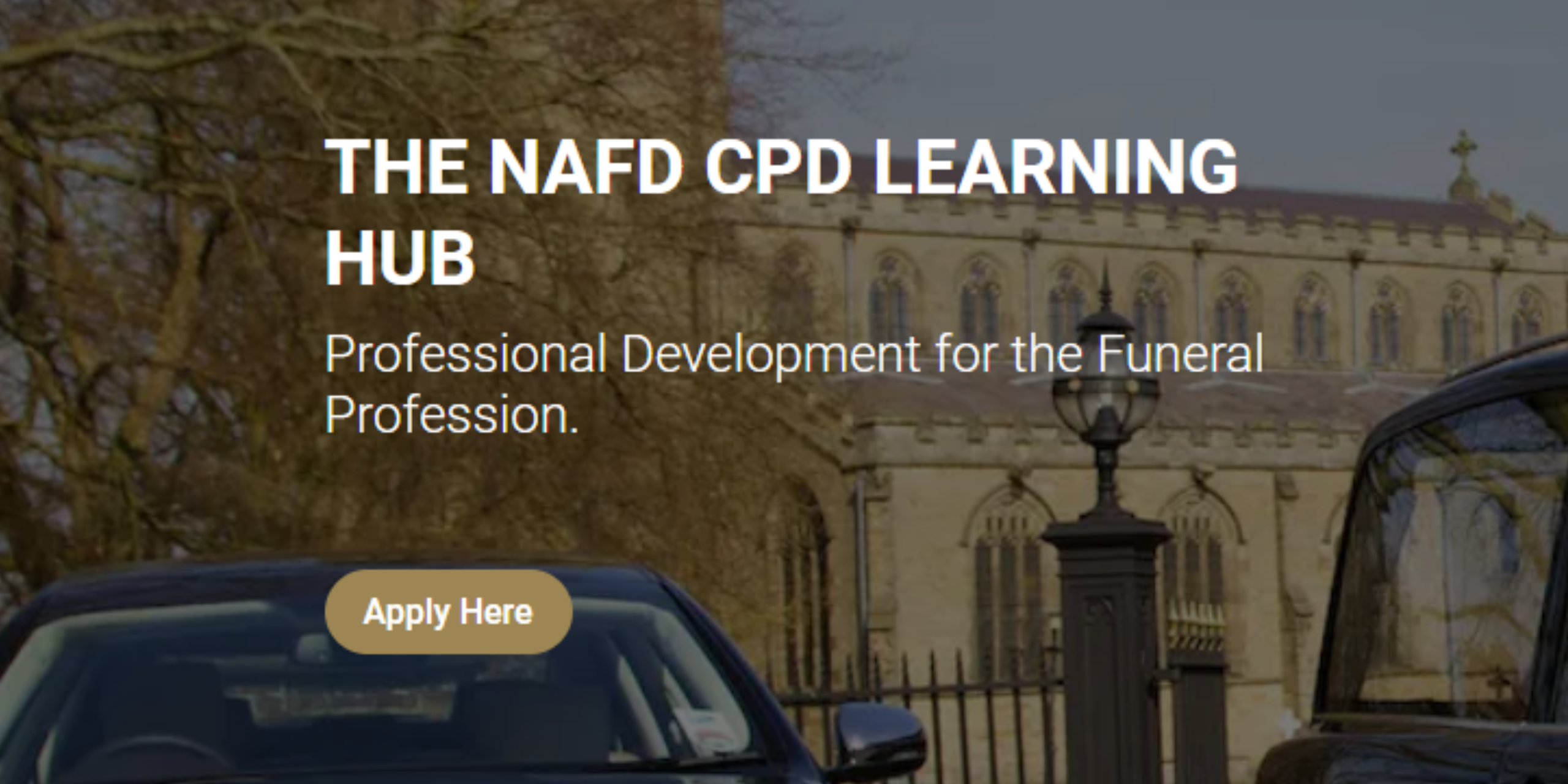 NAFD online CPD article image